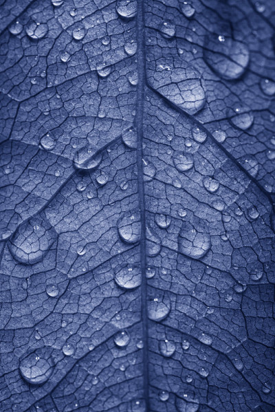 滴水