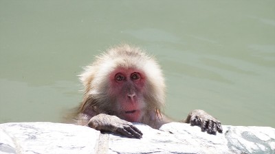 我喜欢泡温泉