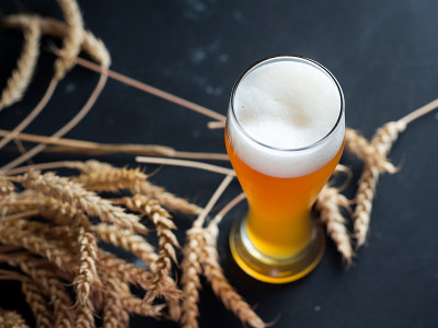 一杯小麦啤酒俯视图