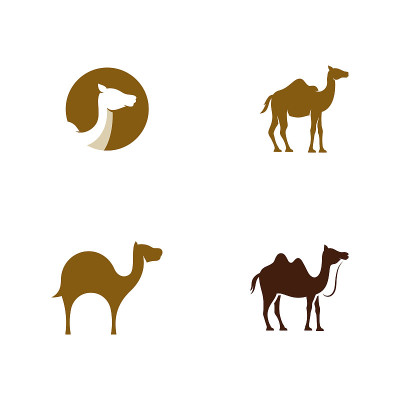 骆驼图标矢量插图