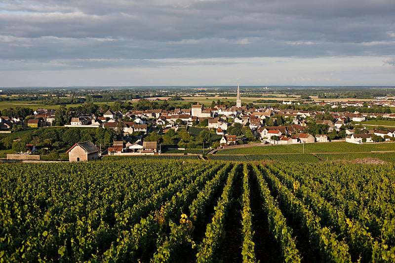 Meursault村，勃艮第葡萄酒之路，Cote D'or - France