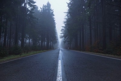 森林道路与雾