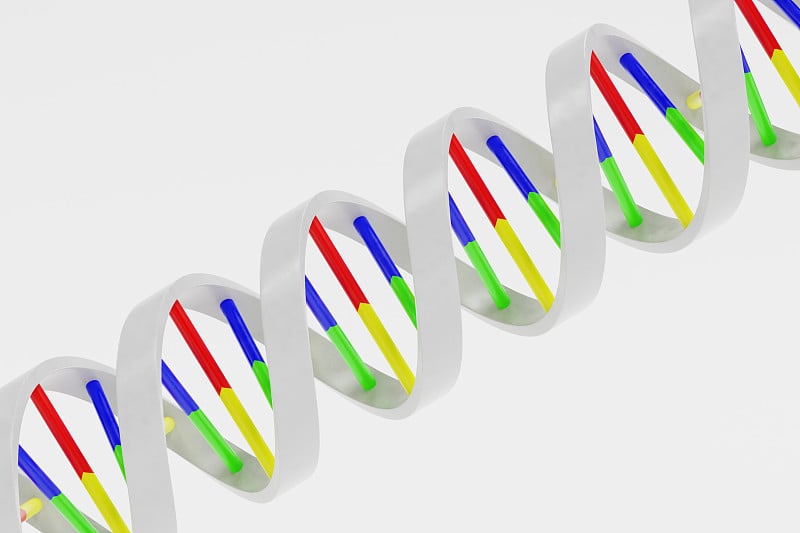 逼真的DNA模型的3d渲染