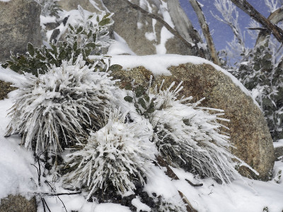 雪覆盖了草地和巨石
