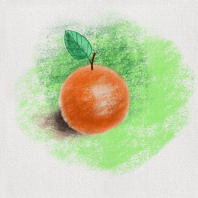 甜橙插图