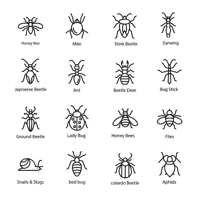 昆虫和Bug图标