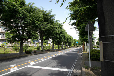 日本埼玉县霞须部市住宅综合体景观