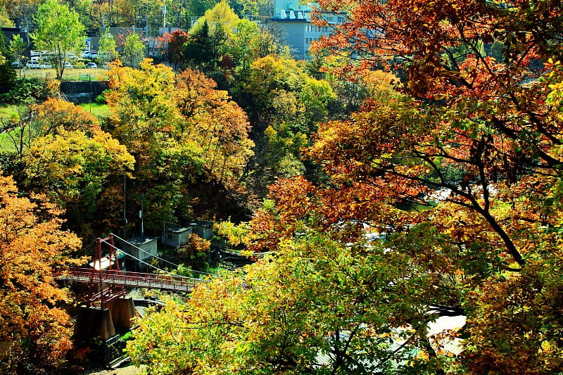 秋景北海道、札幌、中赞井温泉