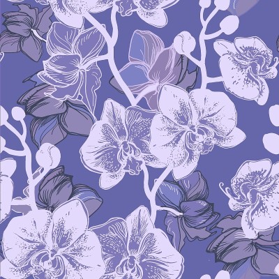 温柔的兰花花手绘在时尚非常佩里背景。