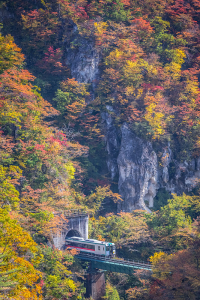 秋鸣子峡谷的陆洼线