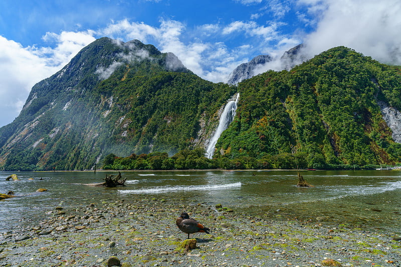 在一个瀑布前蹲下，milford sound，新西兰