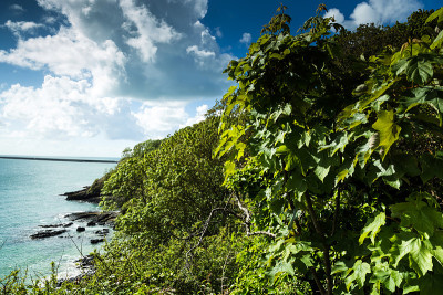 来自泽西海峡岛的蓝色海洋