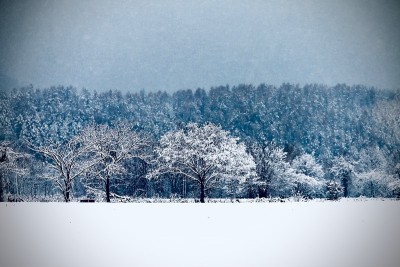 雪花秘扇