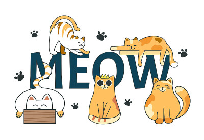 可爱的猫咪海报