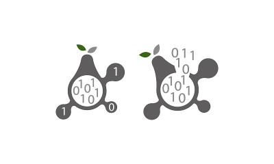 Pear Program Code Connection Set