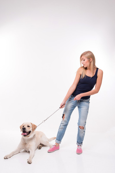漂亮的金发女孩和拉布拉多寻回犬