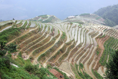 中国广西龙脊梯田