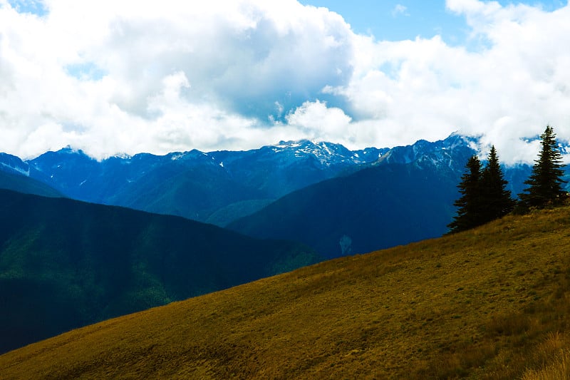 在奥林匹克山脉的山景，奥林匹克国家公园，美国华盛顿。