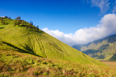 印度尼西亚东爪哇的布罗莫火山上的热带草原。