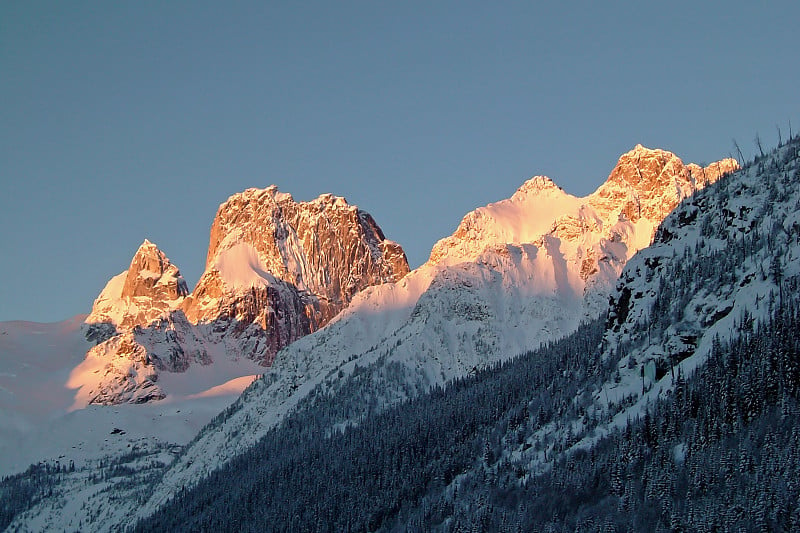 冬天的风景与山和树木在Bugaboos, Purcell山脉，Bugaboo省级公园，不列颠哥伦比亚