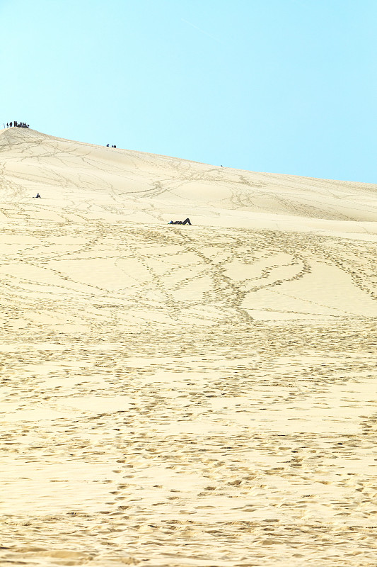 从欧洲最高的沙丘皮拉特(Dune of Pilat)俯瞰。La Teste-de-Buch，阿卡松湾