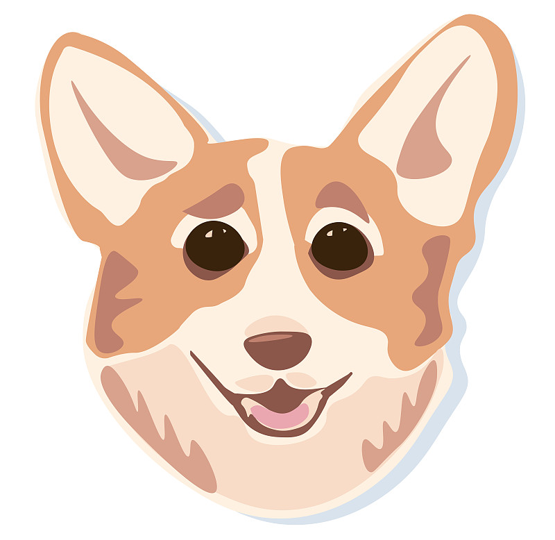 柯基犬的笑脸