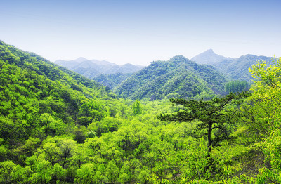 北京西部中国风景山夏季