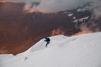 在针叶林的背景下，一名自由滑雪者从山坡上滑下