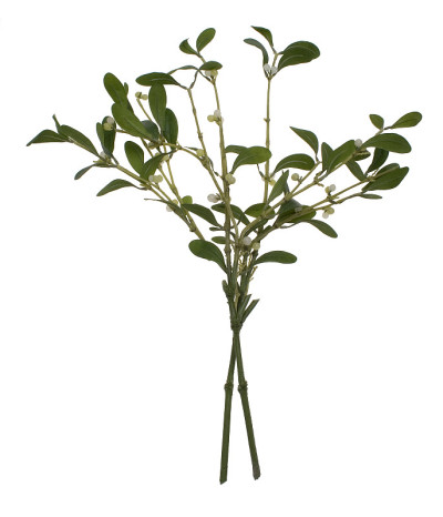 米斯特尔茨韦格