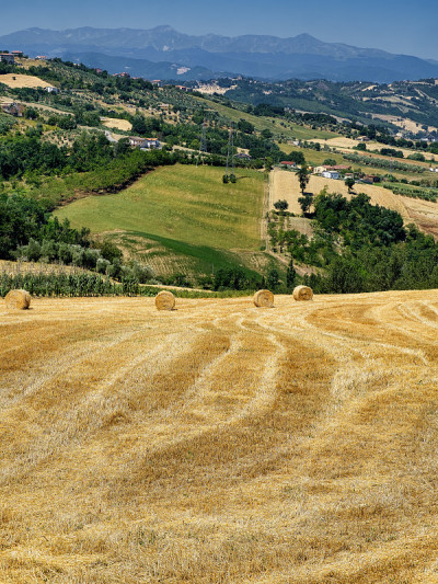 夏天，Teramo (Abruzzi)附近的景观