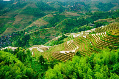 瑶山梯田