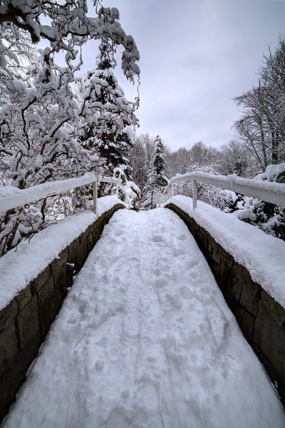 公园里的石桥上有雪