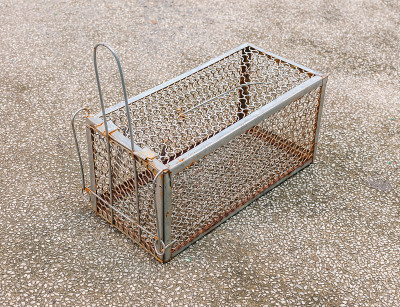 捕鼠器