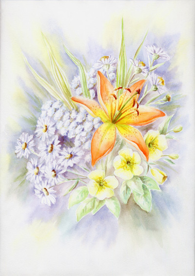 绘画鲜花莉莉