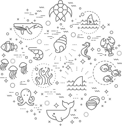 简单的海洋生命和海洋相关的矢量线插图。