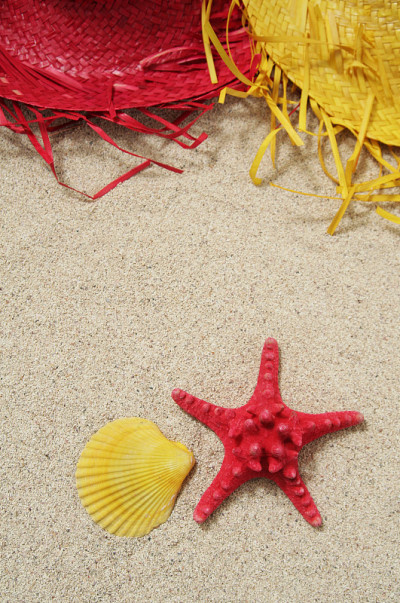 夏天海滩上的概念