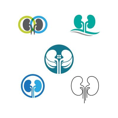 kidney vector illusrtation
