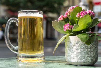 啤酒杯