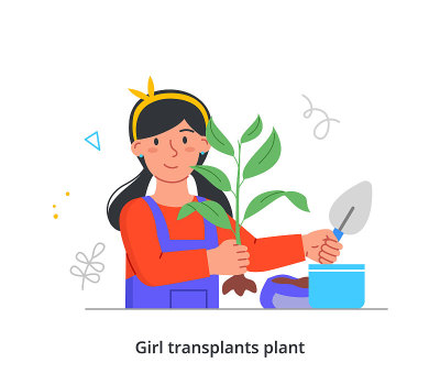 移植植物概念