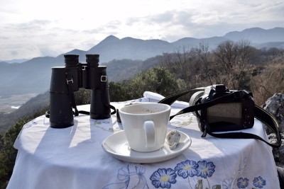 湖Skadar,黑山