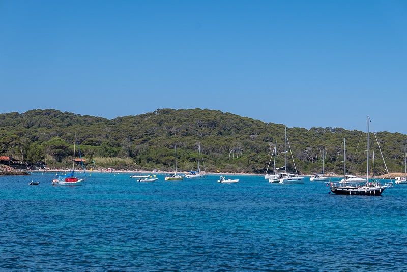 夏天发现波克雷勒斯岛。荒凉的海滩和松树在法国里维埃拉的景观