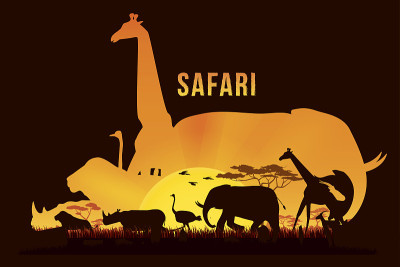 Safari