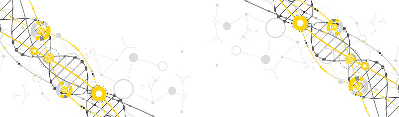 带有DNA分子的科学模板、墙纸或横幅。向量