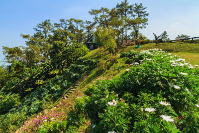 国家公园游客中心的花园。
