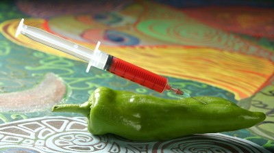 用注射器操作青椒