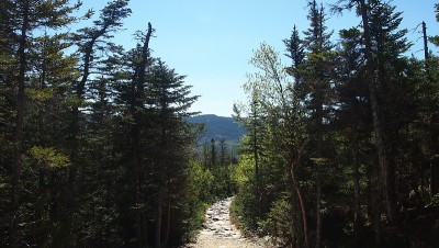 华盛顿山径(图11)