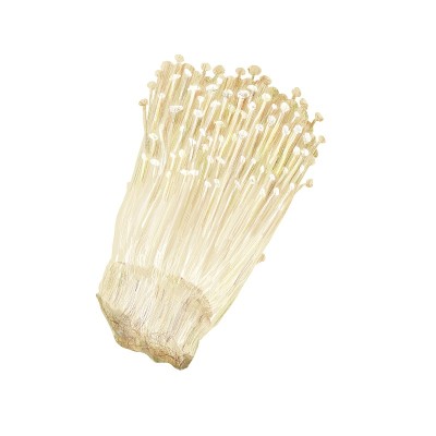 金菇