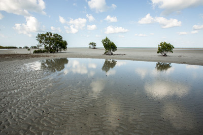 海