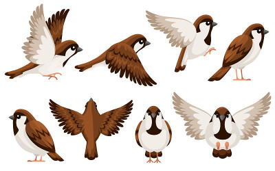 Colorful Icon set of Sparrow bird. Flat cartoon ch
