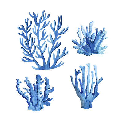 蓝色水彩coralls